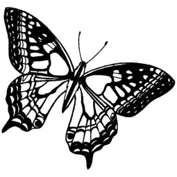 puffer-b-Schmetterling