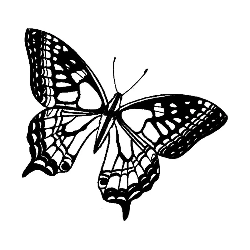 tampon-b-papillon