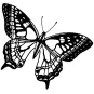 tampon-b-papillon