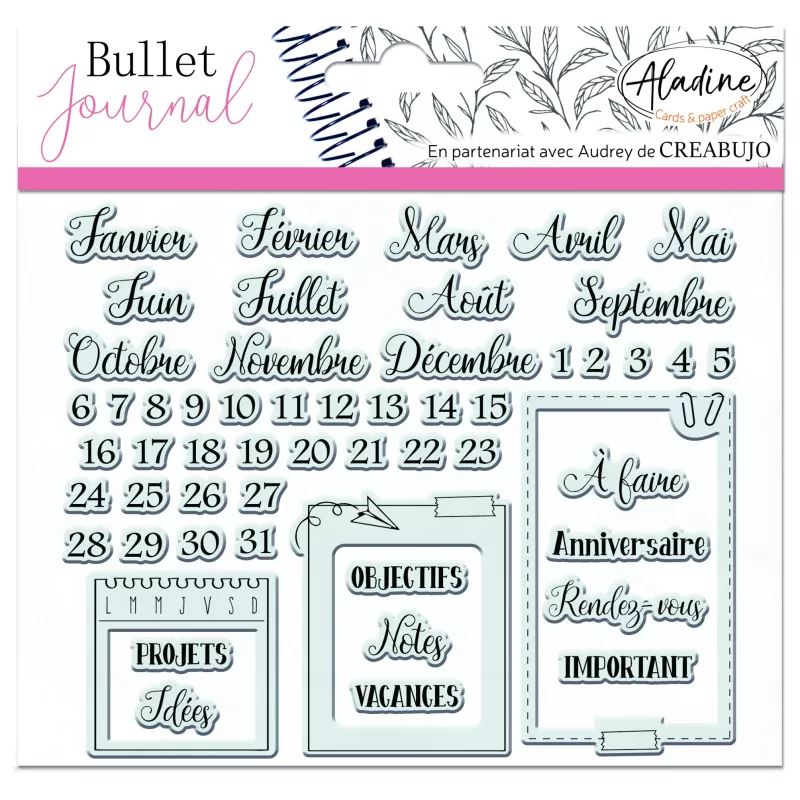 tampon-bullet-clear-organisation-mois