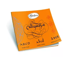 buch-de-Kalligraphie-Latein