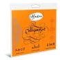 cahier-de-calligraphie-latine-sur-carte