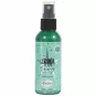 izink-spray-shiny-vert-d'eau-80-ml