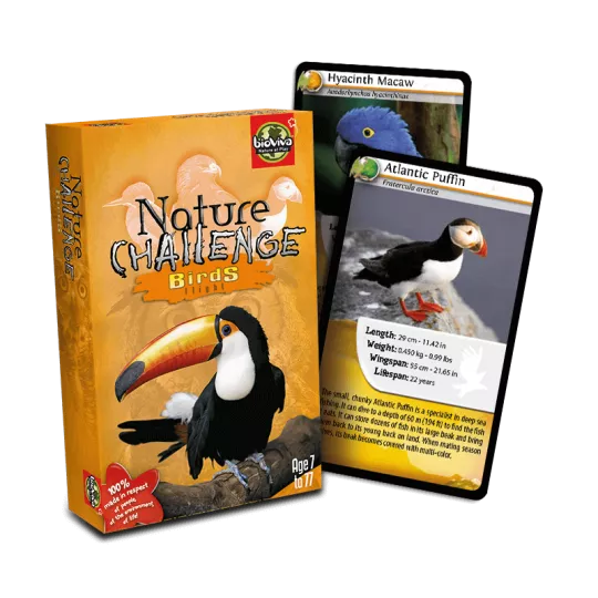 nature-challenge-bird