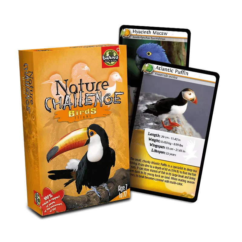 nature-challenge-bird