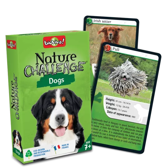 nature-challenge-dogs