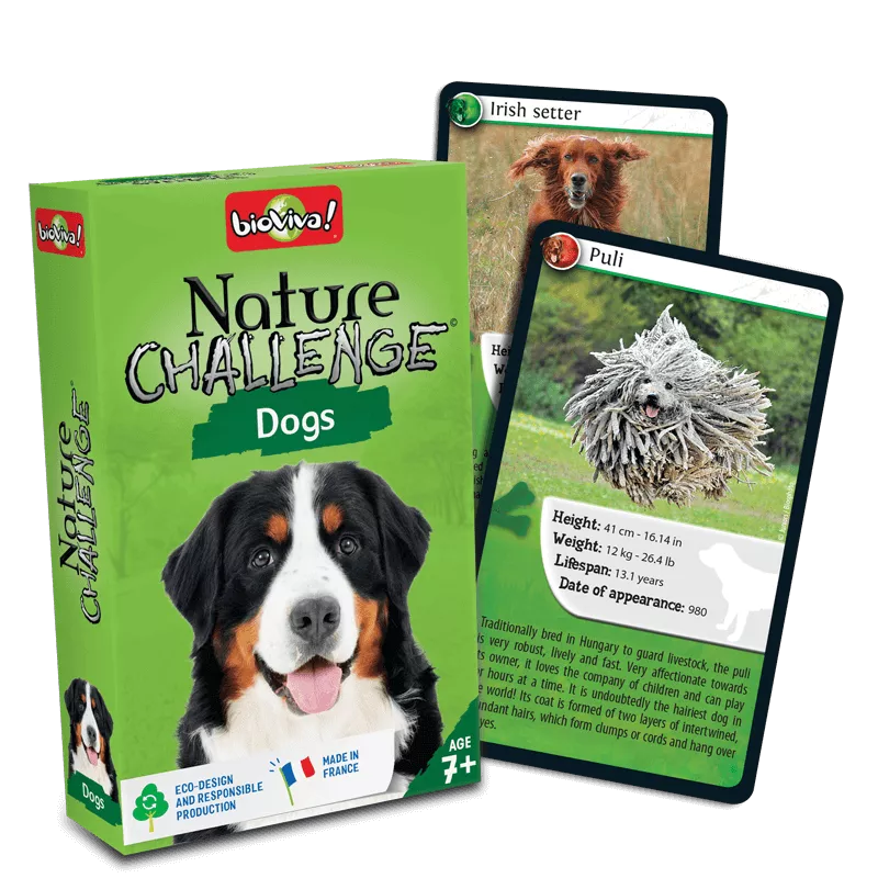 nature-challenge-dogs