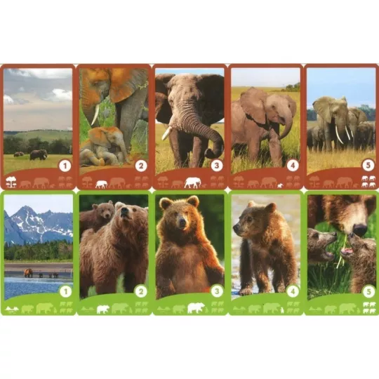 disneynature-crazy-families