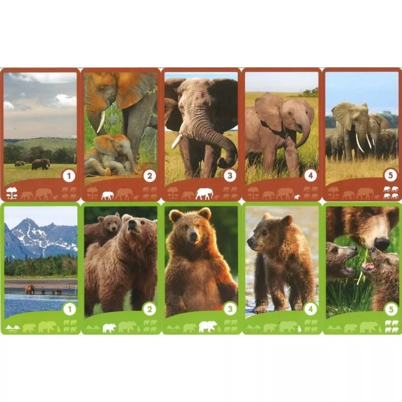 disneynature-crazy-families