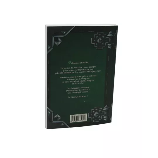 livre-chevaliers-tome-4