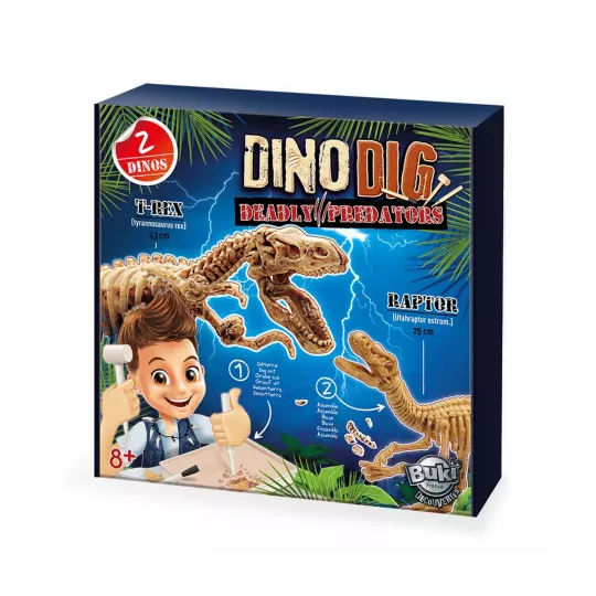 dino-dig
