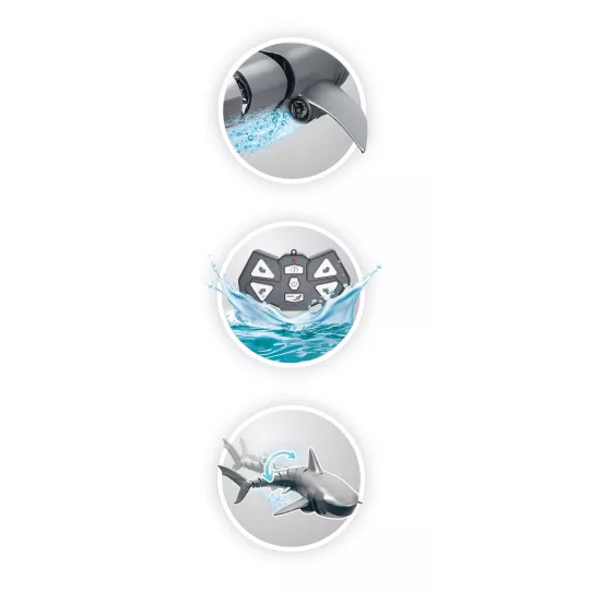 requin-radio-commande