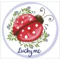 diamond-dotz-broderie-diamant-lucky-me