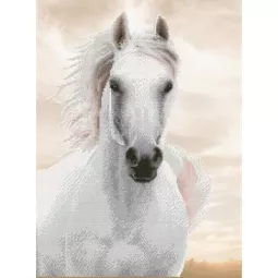 diamond-DOTZ-Stickerei-Diamant-Imperial-Stalion-Standard-Weiß