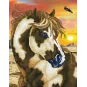 diamond-dotz-broderie-diamant-wild-&-free-mustang-35.5x45.7-cm