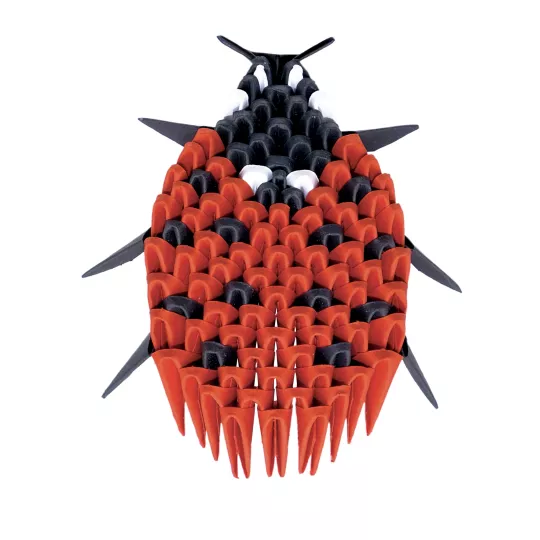 creagami-xs-coccinnelle
