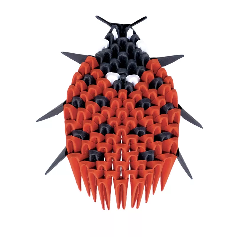 creagami-xs-coccinnelle
