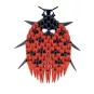 creagami-xs-coccinnelle