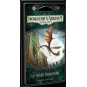 horror-A-Arkham-Extension-le-Museum-Miskatonic-Games-de-Cards Evolutionär
