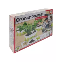 gruner-daumen-erdbeeren-minz-basilikum