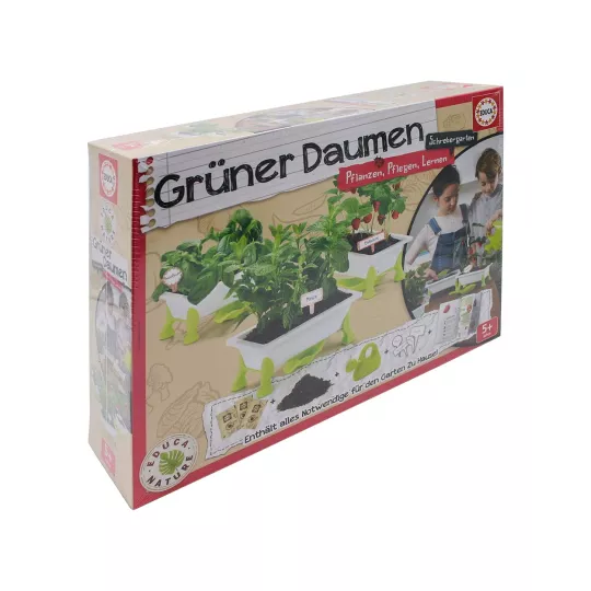 gruner-daumen-erdbeeren-minz-basilikum