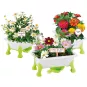 gruner-daumen-blumen
