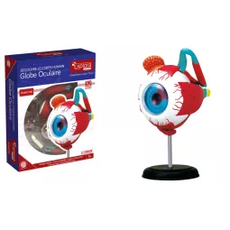 explora-kit-anatomie-de-l'œil-32-pcs