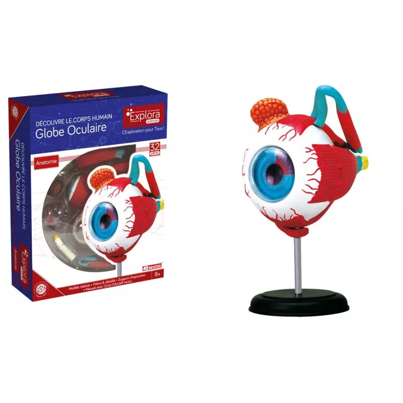 explora-kit-anatomie-de-l'œil-32-pcs