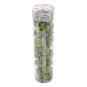 tube-de-perles-60-pcs-billes-pea-vert-6-tailles