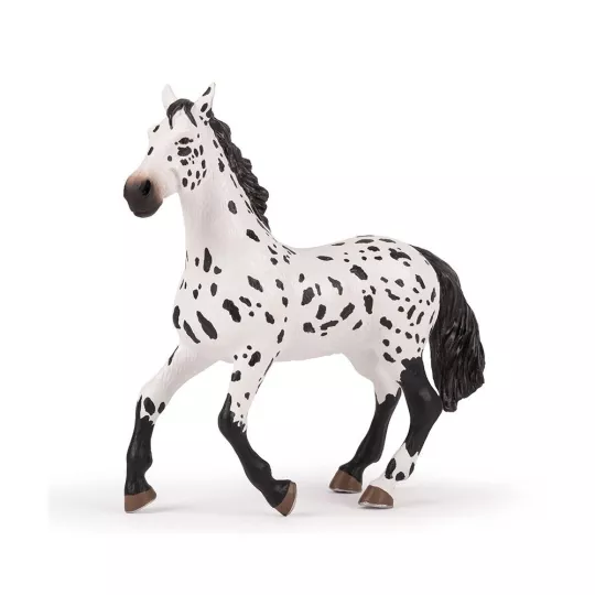 grand-cheval-appaloosa