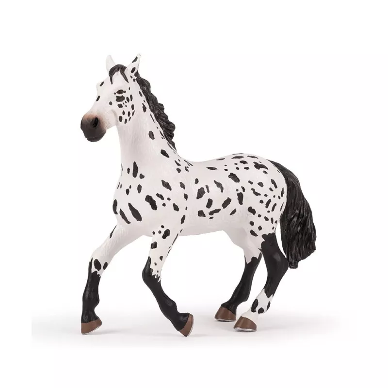 grand-cheval-appaloosa