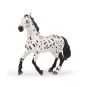 grand-cheval-appaloosa