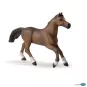 mare anglo-arabo-