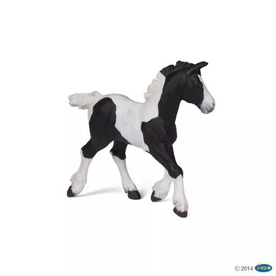 poulain-cob-pie-noir  
