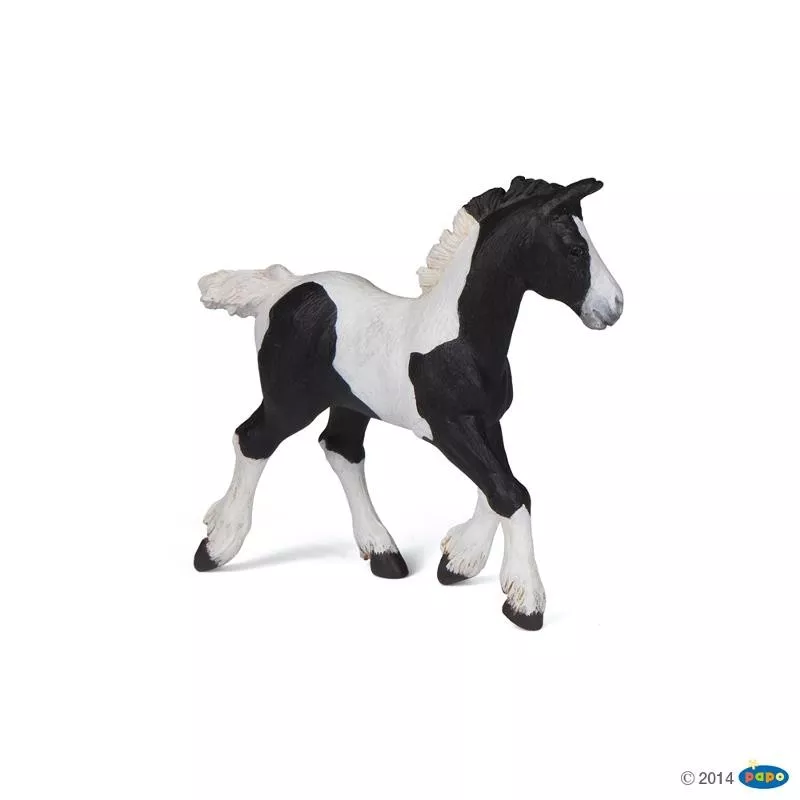 poulain-cob-pie-noir  