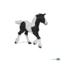 poulain-cob-pie-noir  