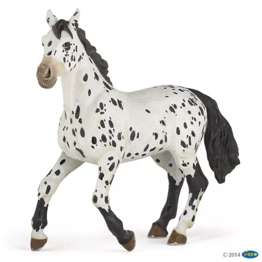 cheval-appaloosa-noir