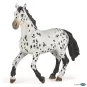 cheval-appaloosa-noir