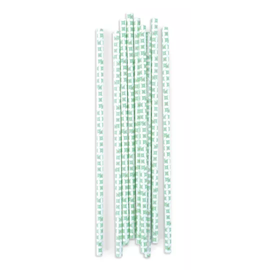 20-pailles-cartonnees-rosaces-vert-d'eau