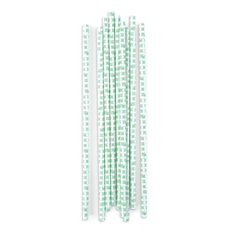 20-pailles-cartonnees-rosaces-vert-d'eau