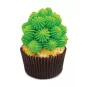 kit-douilles-3d-cactus
