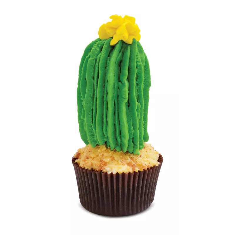 kit-douilles-3d-cactus