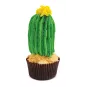kit-douilles-3d-cactus