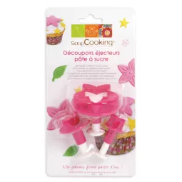 3-decoupoirs-estrattori-non-Etoile