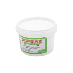 laden-popsine-Pulver-400-gr