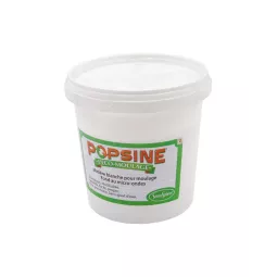 laden-popsine-Pulver-1kg