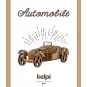 voiture-bois
