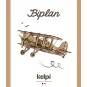 biplano-legno