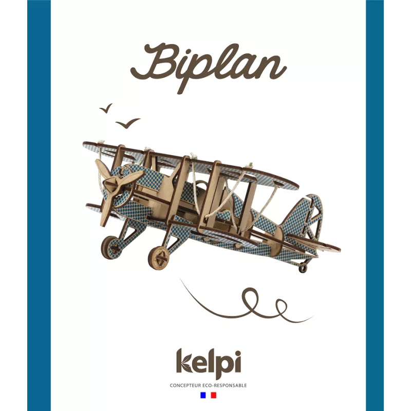 biplan-motif-bleu