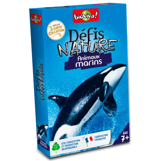 nature-challenge-sea-creatures